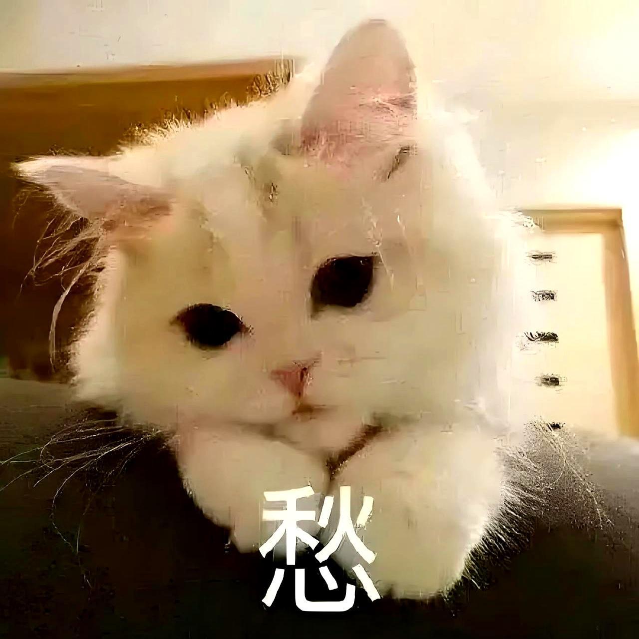 给儿子介绍对象，电话拨了两回都没人接。当妈的心里直打鼓——这姑娘是我十年前教