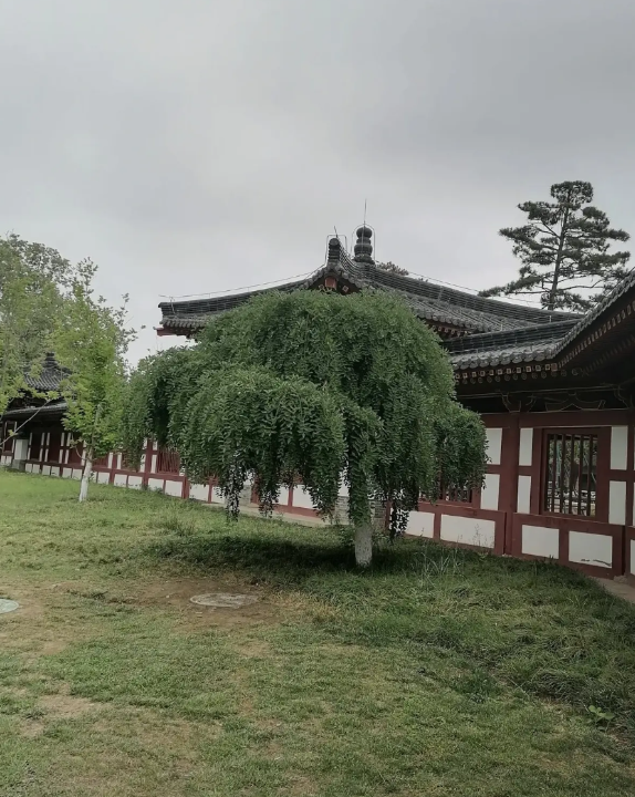 哈工威和西电，选哪一个？刚才和一个家长聊天，他说今年给他儿子报志愿，全家人在哈工