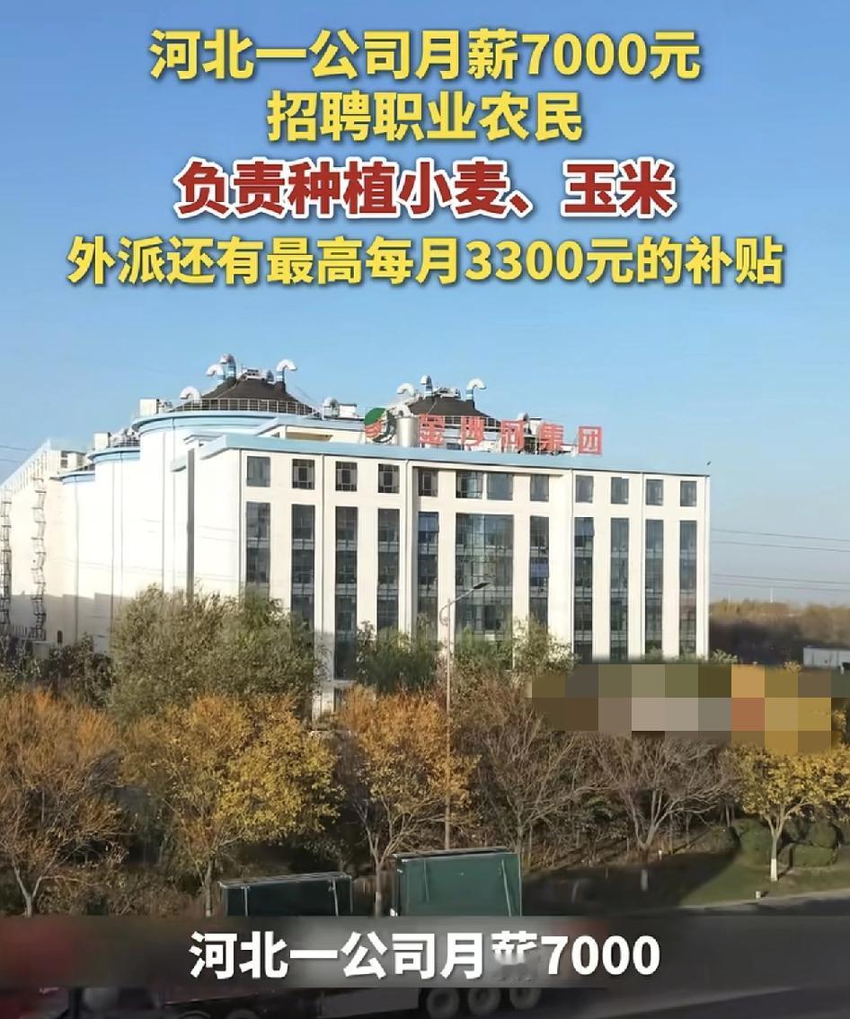 河北邢台一公司月薪7000招聘职业农民，要求是河北本地人，年龄在30~35岁之间