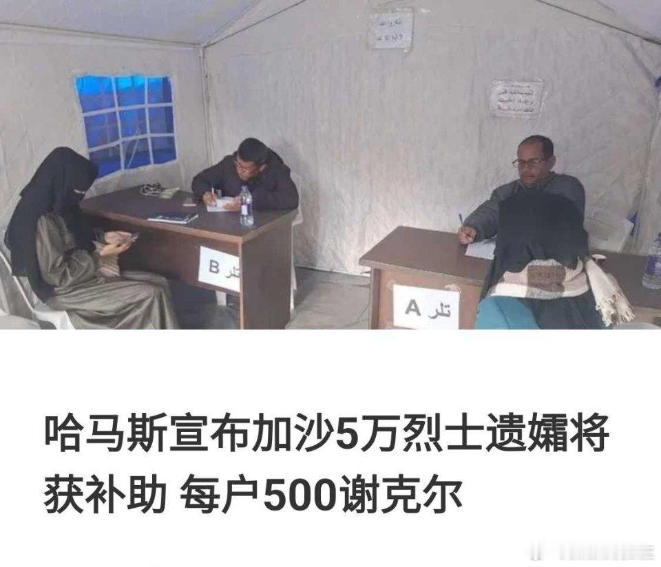 海外新鲜事哈马斯发放的补助金，每户500谢克尔，约合160美元