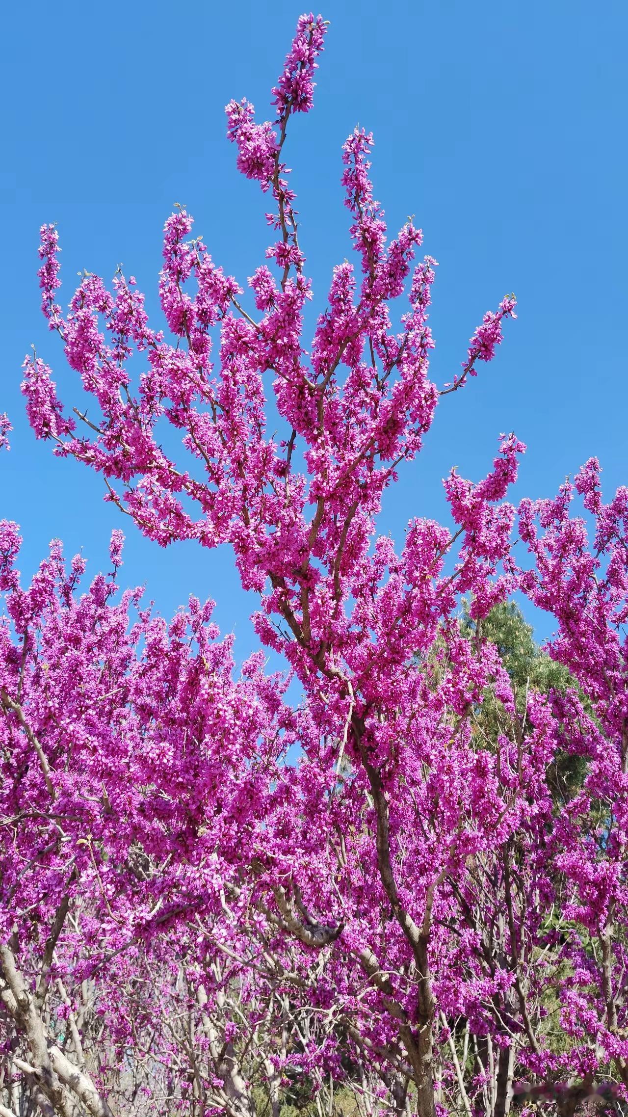 病秧子还活着，那个生龙活虎的人却走了。我原来工作的时候，车间里有两个工友比较出
