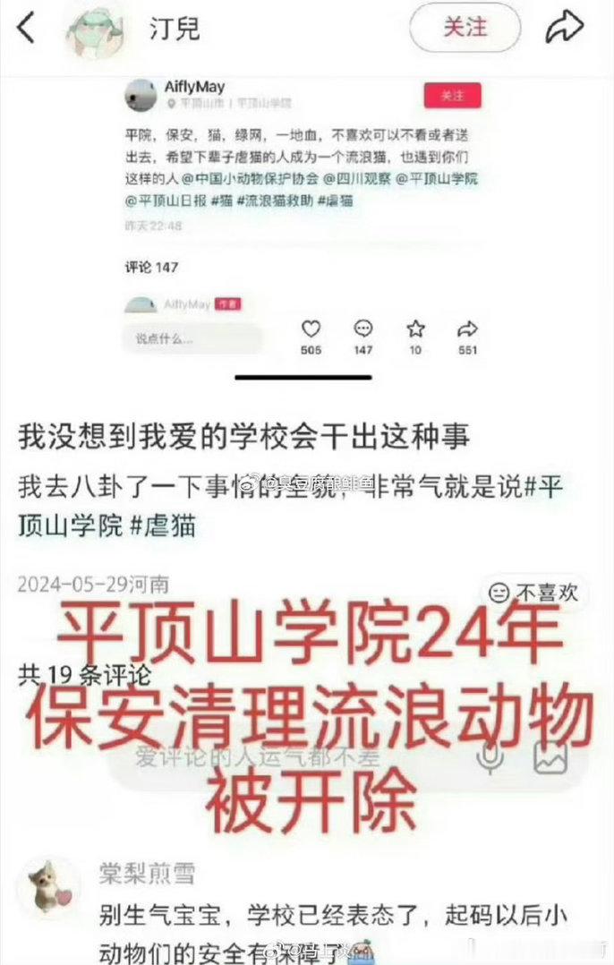 流浪狗校内产崽被保安拖走一说流浪狗平顶山就要出列为什么？我们来看下平顶山这个事，