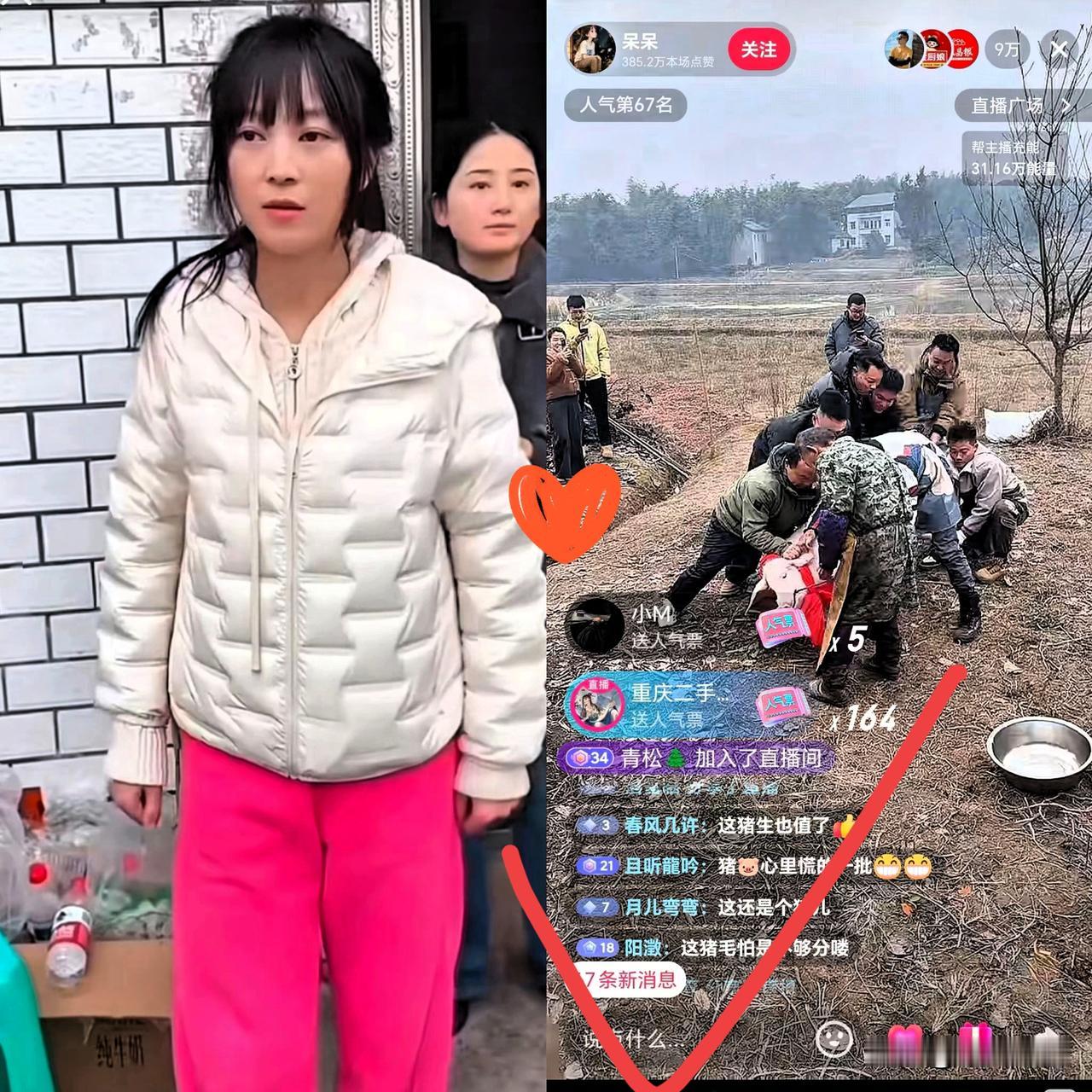 别再羡慕呆呆！你我学不来的，是她刻进骨子里的真实！没有脚本、没有滤镜，连口