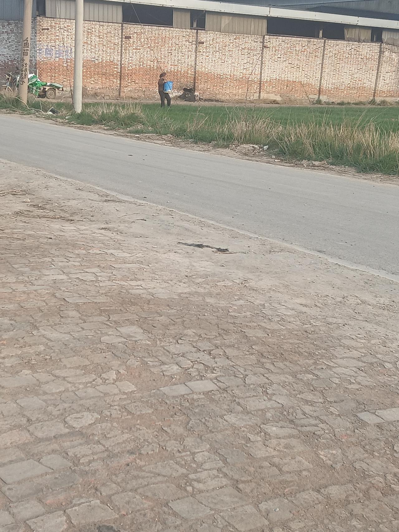 大姐的三轮车上有许多白色的袋子，但是没有水桶；这位大姐直接把袋里的乳剂倒入喷雾器