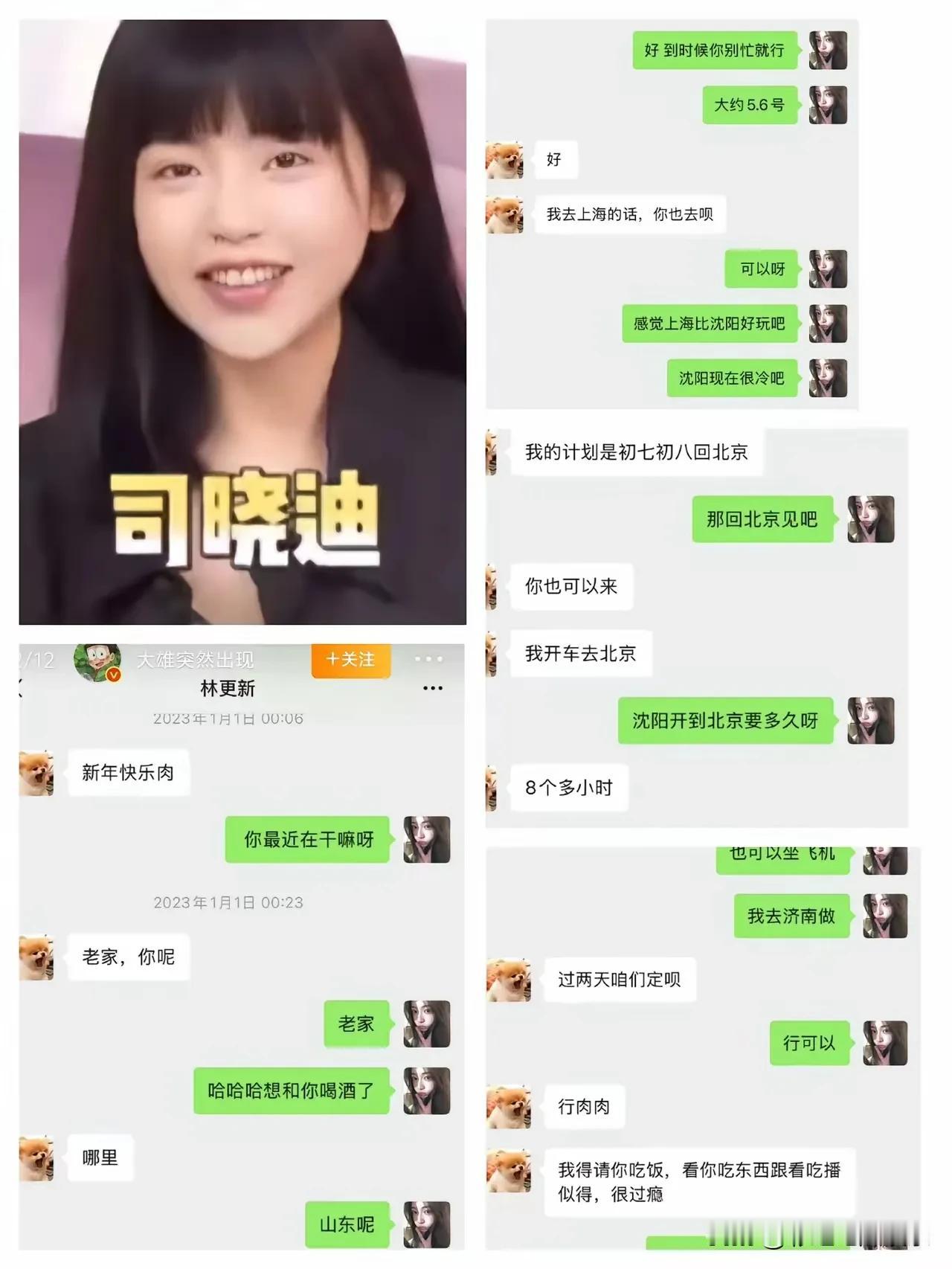 司晓迪爆料林更新完全是因为林更新没有看上她而气恼，司晓迪私底下长啥样心里没点数吗