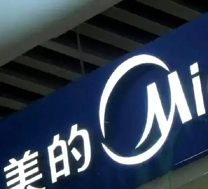 中国空调治好了欧洲人的“安装病”，但更希望以后中国人用空调也能够免安装。因为欧
