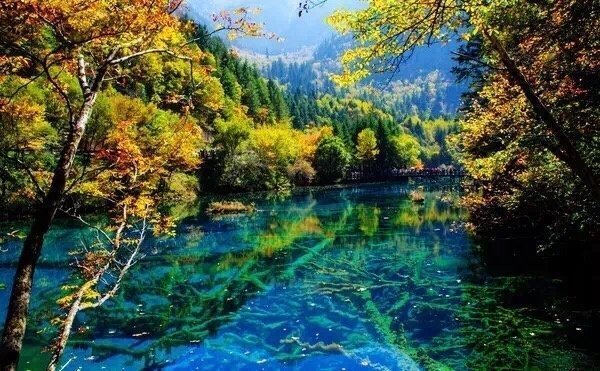 九寨沟，夏季气温较为稳定，平均19℃至22℃，实在是国内避暑的人间仙境！