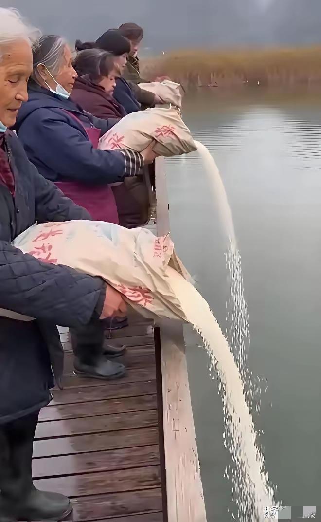 我们要停止这种愚蠢的行为。不要让美国的话变得应验了。曾经美