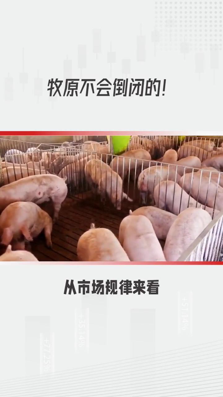 牧原不会倒闭的理性剖析。大家千万别盼着牧原倒闭，这种想法缺乏现实依据。·从市