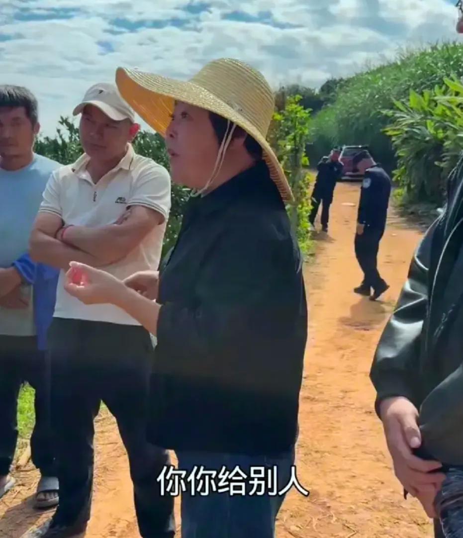 河北水果商跑云南收橙子，5000块定金刚打过去，代办大姐连夜把青果全摘了。水