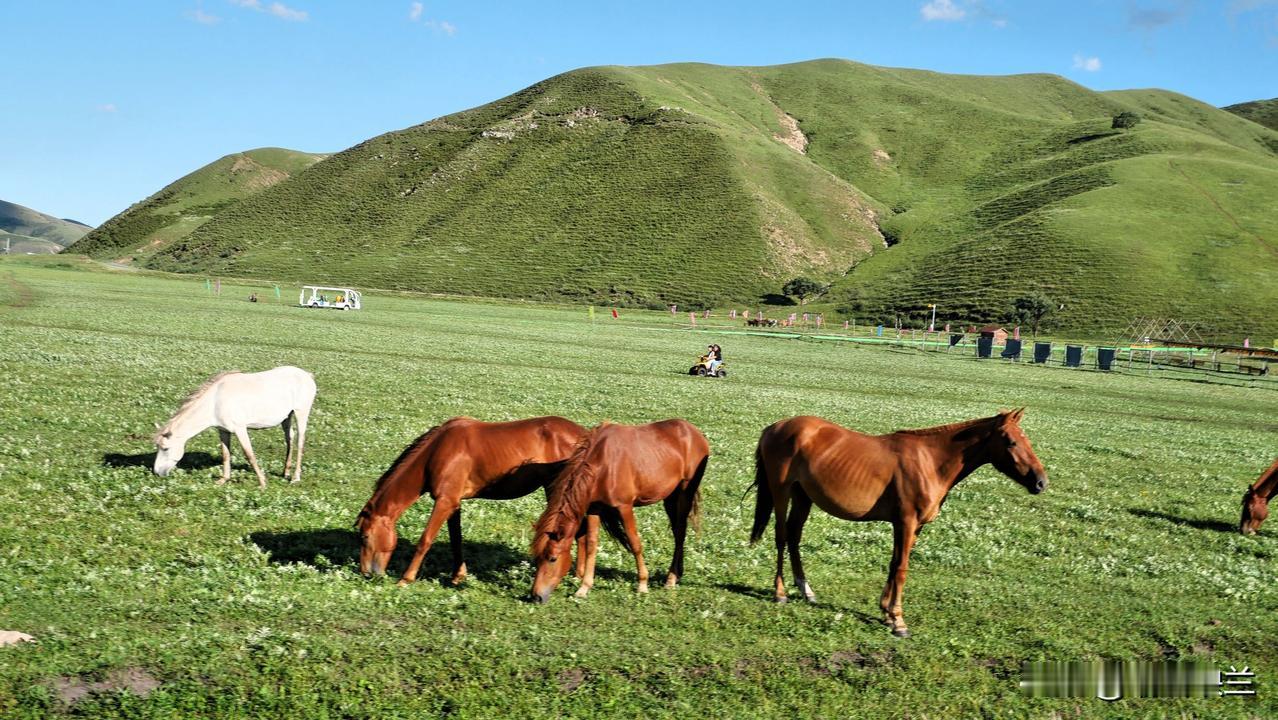 在乌兰毛都景区的入口处，遇到一位与我们同乘一辆观光车的沈阳游客，他昨天一天的行程