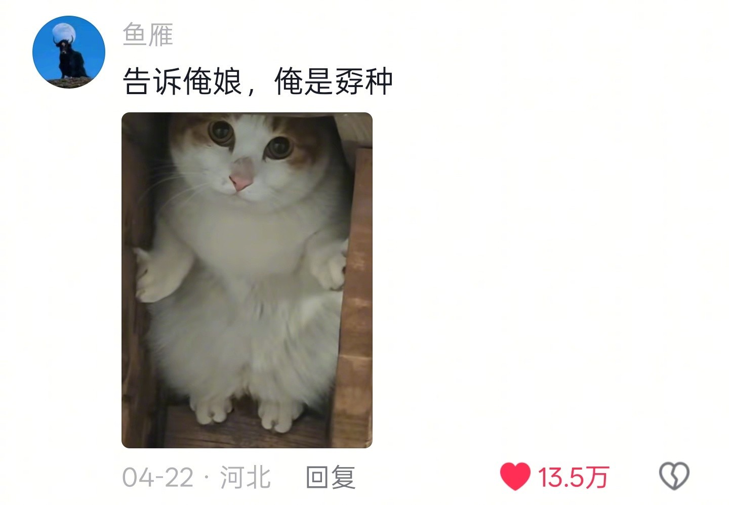 第一次见被老鼠吓到躲起来的小猪咪，宝宝你这样可要被开除猫籍了！