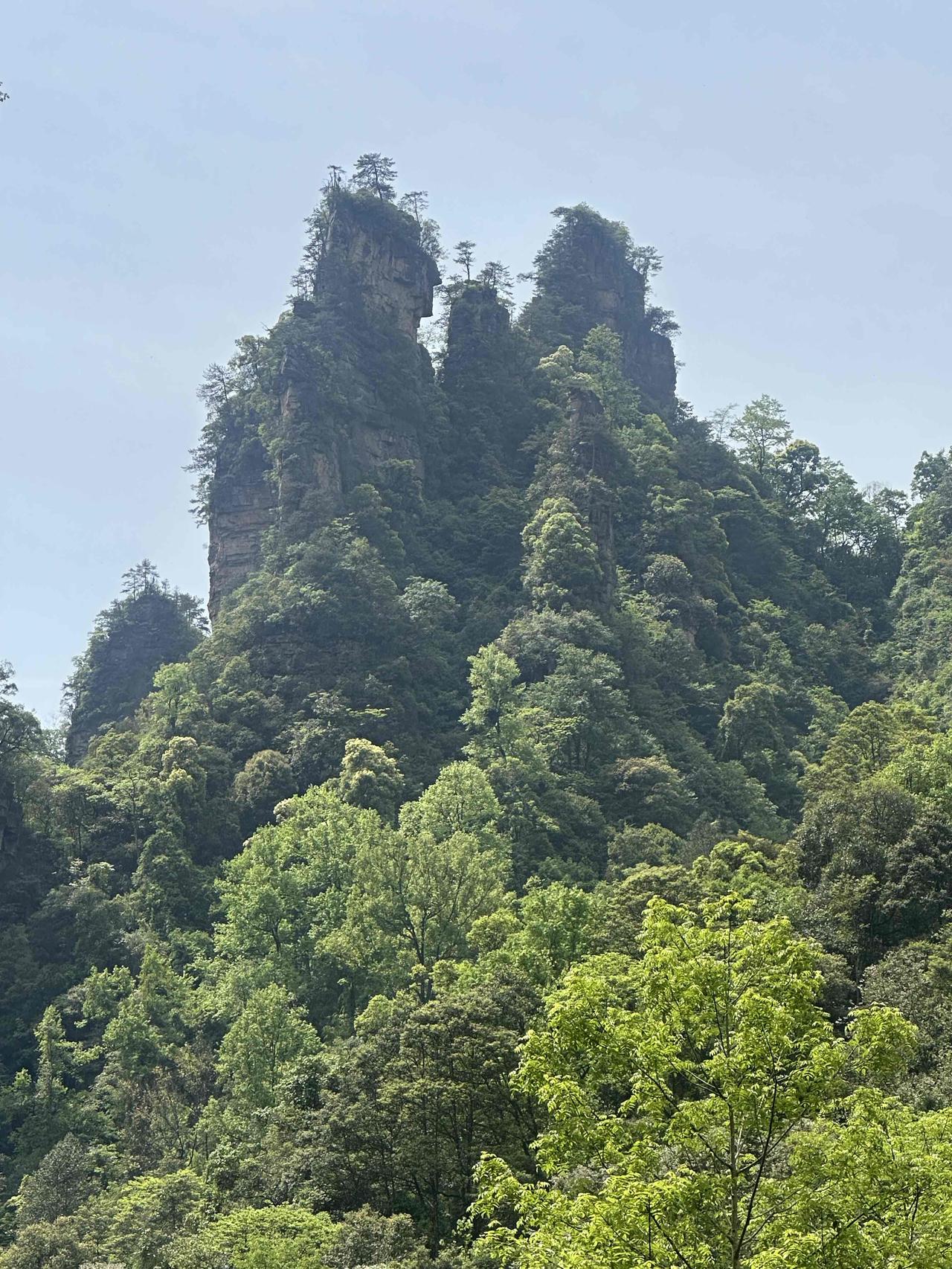 张家界国家森林公园公里里的十里画廊其实不到十里！我如果说往返都不到十里你相不相信