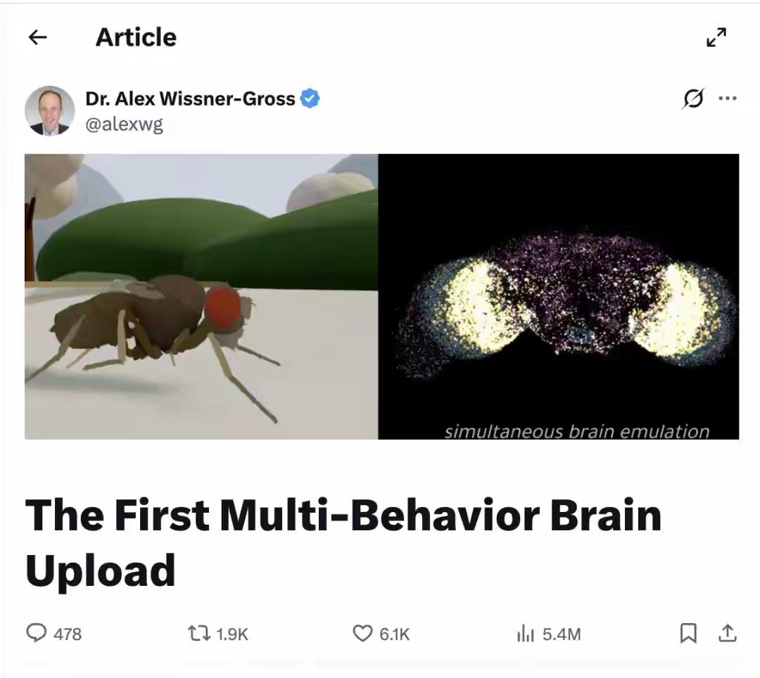 科学家在电脑中完整模拟复制果蝇神经元后，果蝇竟然有了意识！细思极恐！电脑中的