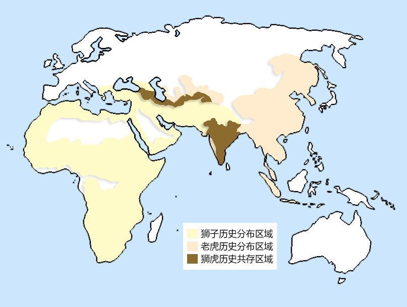 历史上老虎与狮子也曾共存过，主要分为两大片区。一是中亚、西亚一带，古代亚洲狮与里