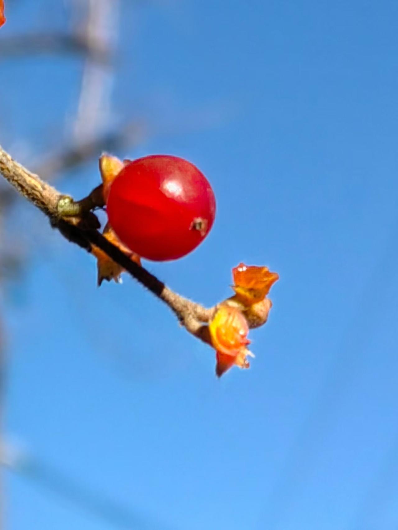 一名四年级的女生回家和妈妈讲了班级老师和同学的事儿，女儿问妈妈是老师的错，还是女