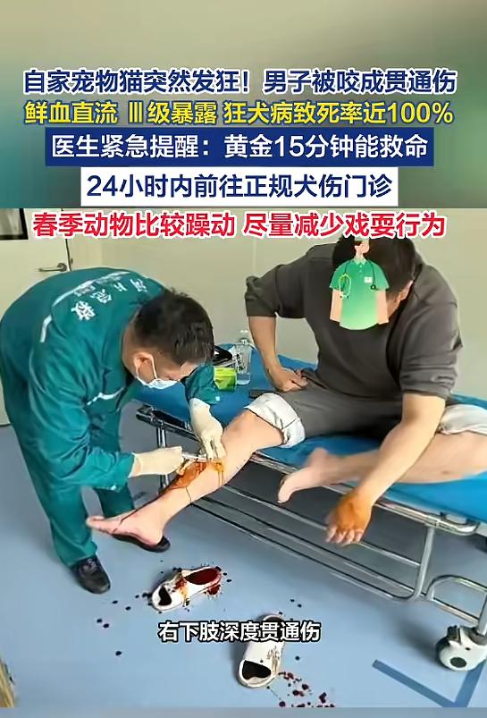 “太吓人了！”近日，河南郑州，一男子养了只猫，当时他在家时，猫突然发狂，对他猛烈