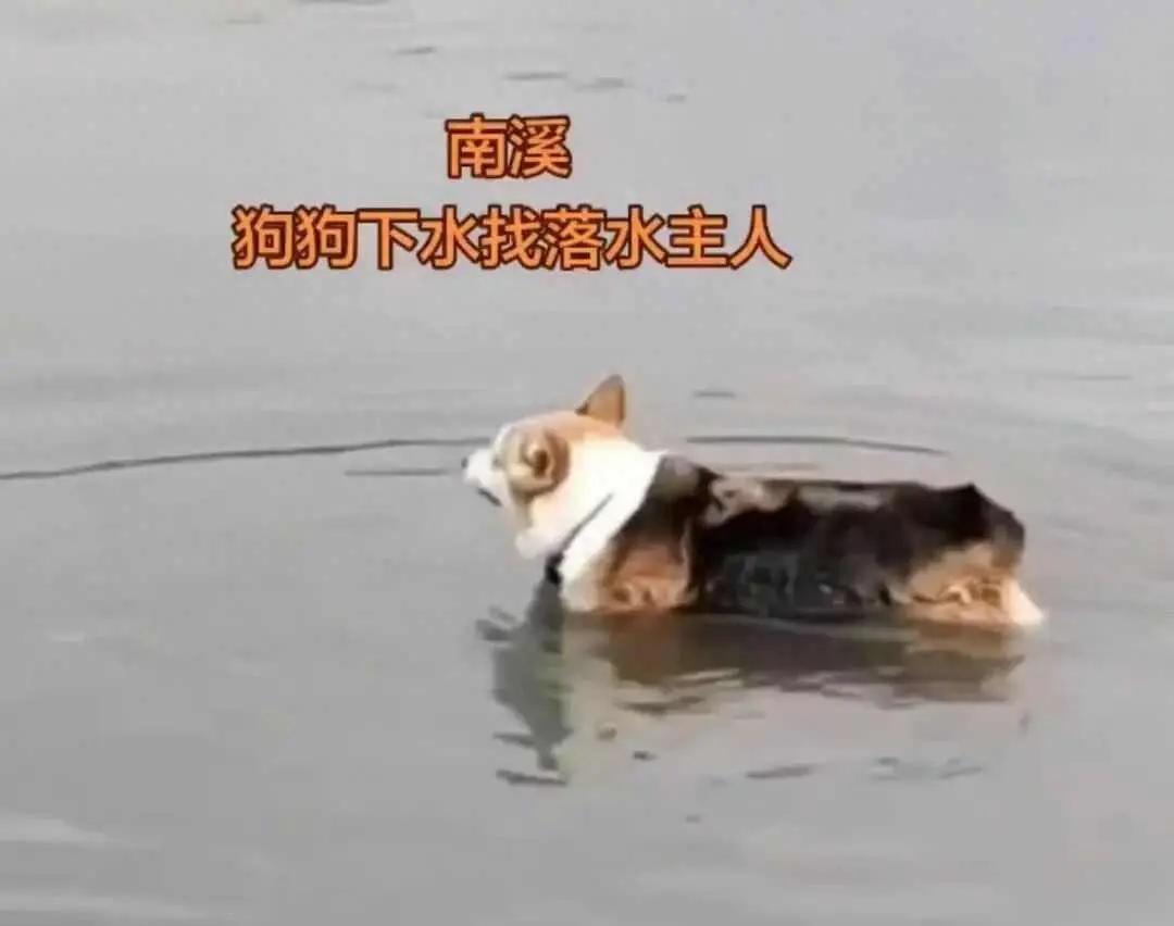 5月25号清晨，四川宜宾南溪东门的长江岸边，一场让人唏嘘的意外，就这样毫无预兆地