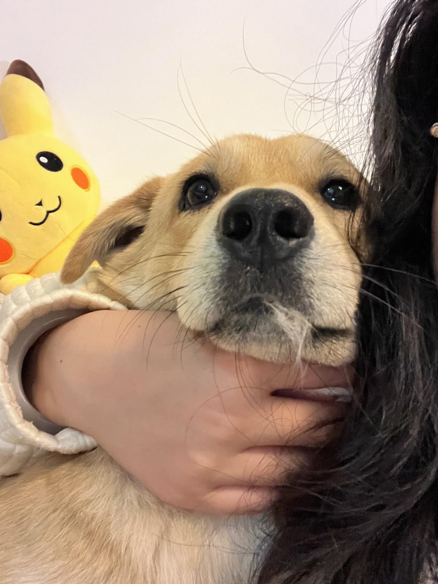 你不知道我有多可爱～