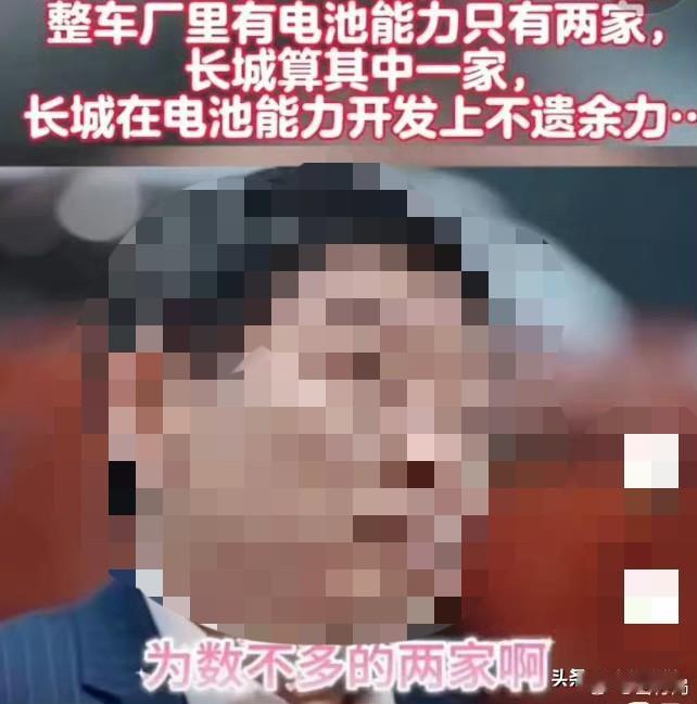 友商：“整车厂里，有电池能力的只有两家，我们算其中一家，我们在电池能力开发上不遗