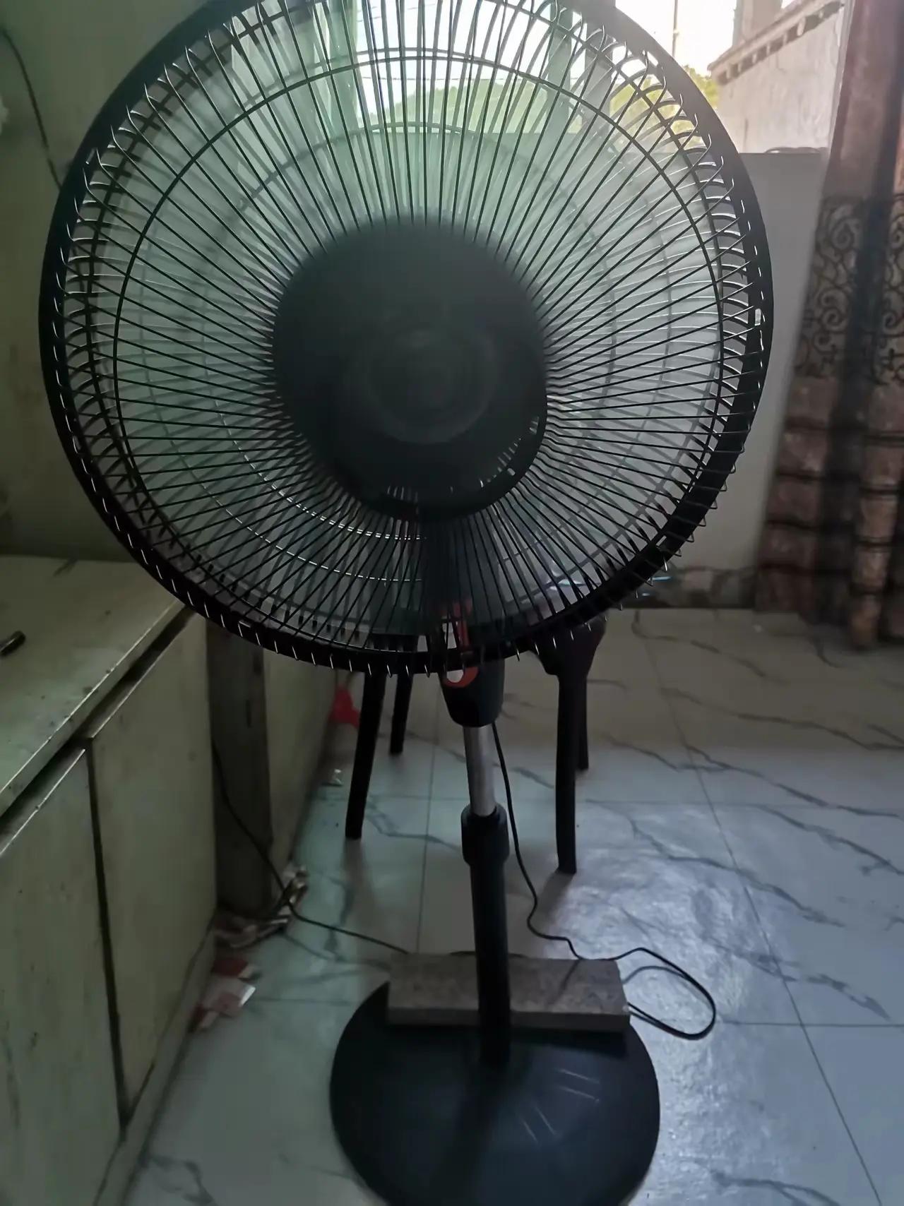 一名42岁的住家保姆怀孕了，孩子疑似是雇主24岁自闭症儿子的。孩子母亲李姐没有报