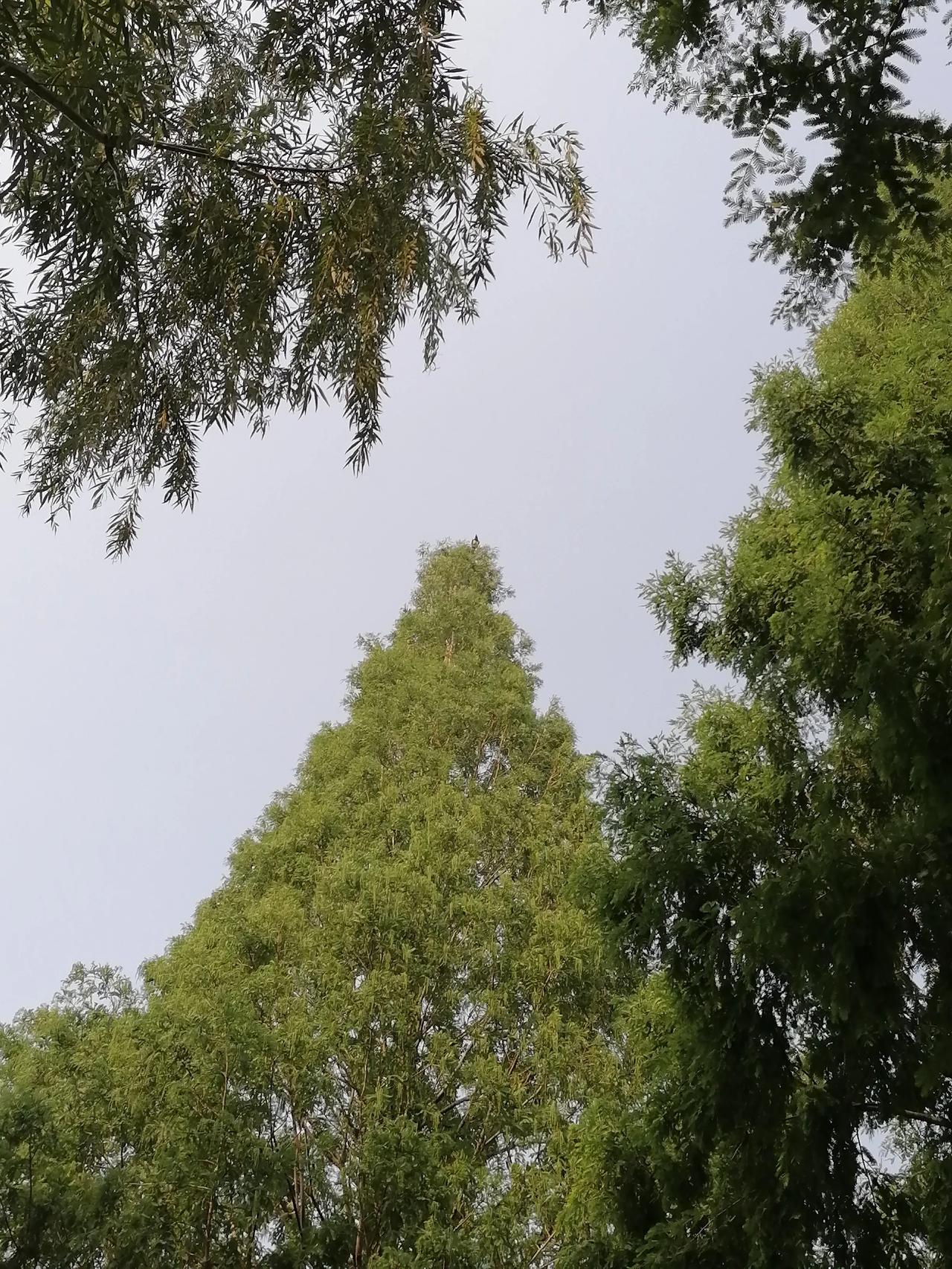 花几百万留在国外，到底值吗？同事为了女儿，花了将近200万去英国读书，研究生