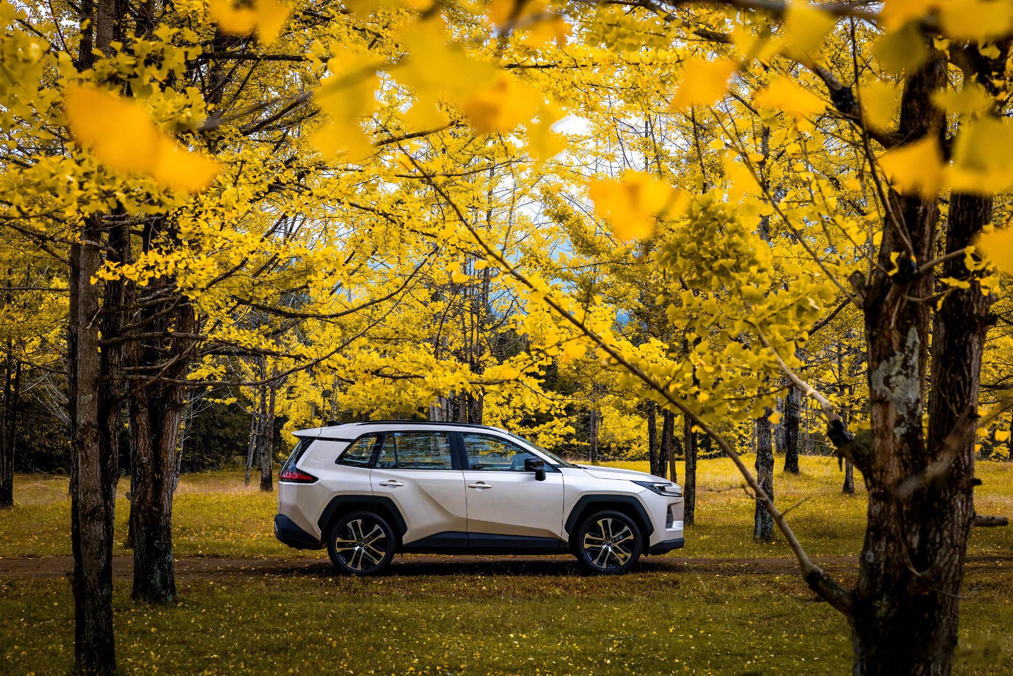 14万级全新威兰达到店作为丰田全新域控架构首款车型，全新换代威兰达以“续航+智