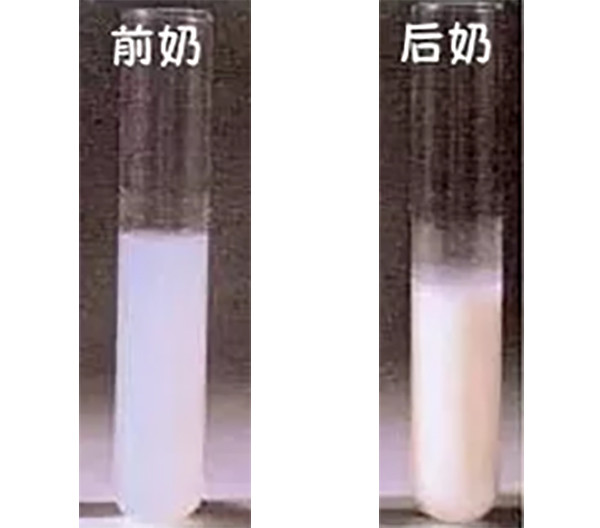 问答|母乳前奶稀, 后奶浓? 哪种对宝宝好?