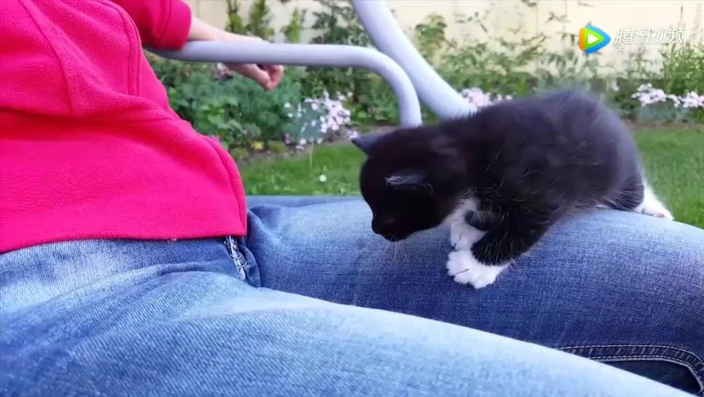 8428082141193680755.jpg?id=0