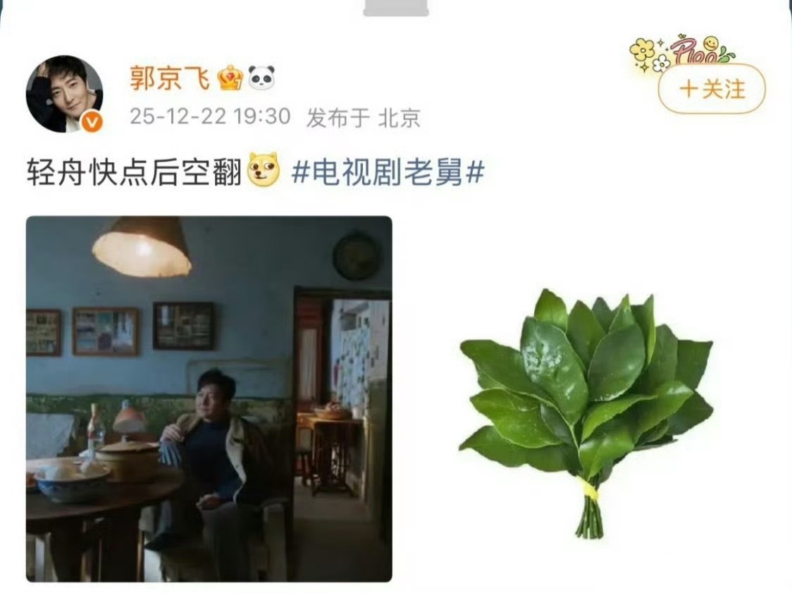 配图和表情都很灵性....