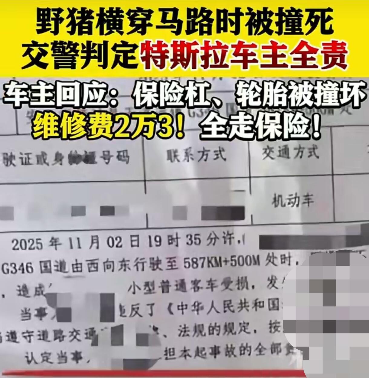 这事儿最近在网上吵得挺热闹。一位开特斯拉的杨先生，在国道上正常行驶时突然撞上一头