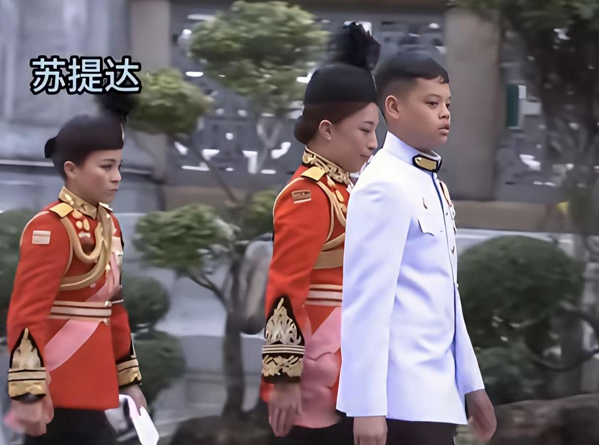提帮功的反应慢，是不是“装”的！这一年，帕公主是小王子的“定海神针”！而苏提