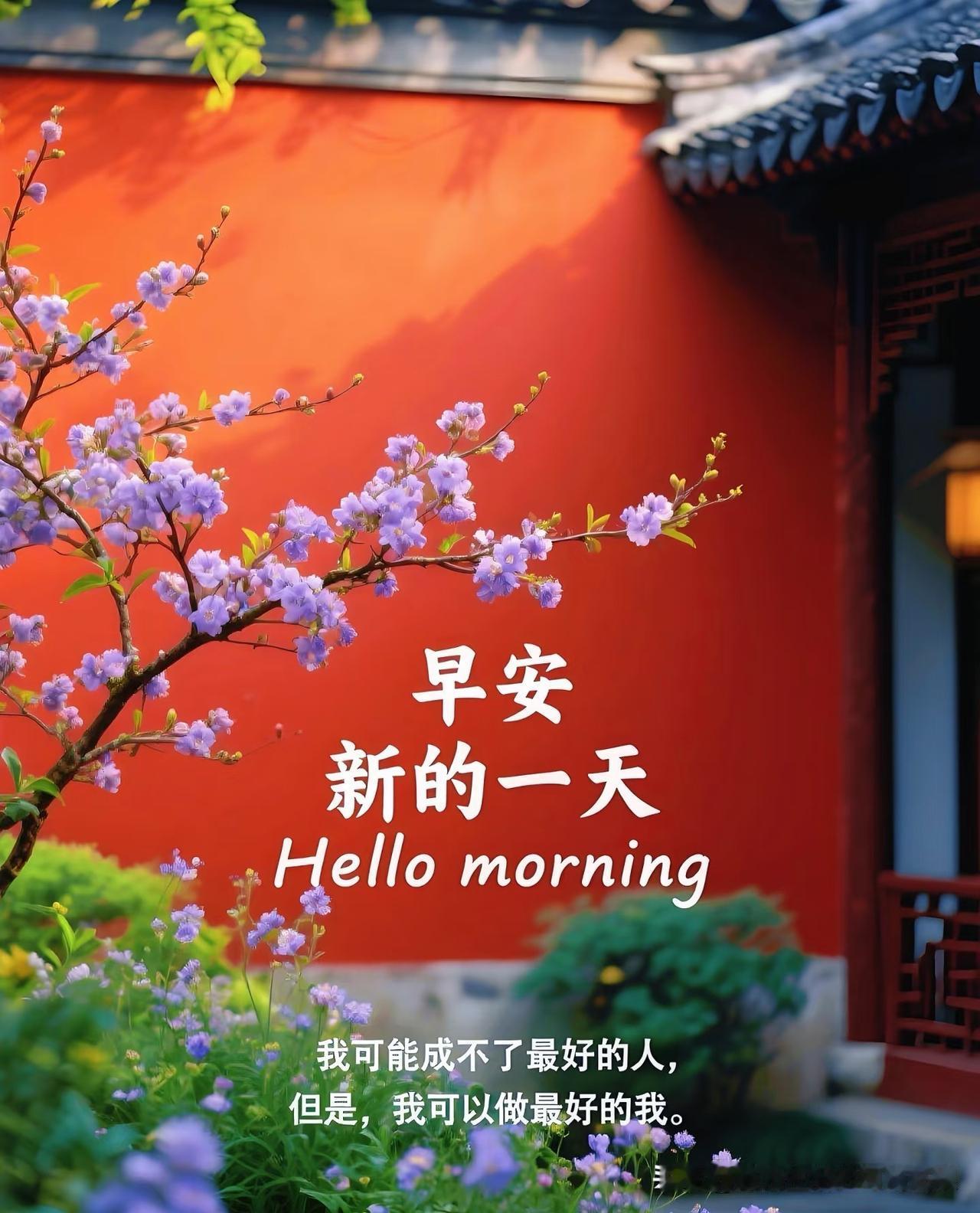 早安呀，新的一周开始了，愿你带着温柔，一路向阳，所有美好都如约而至～​周一清