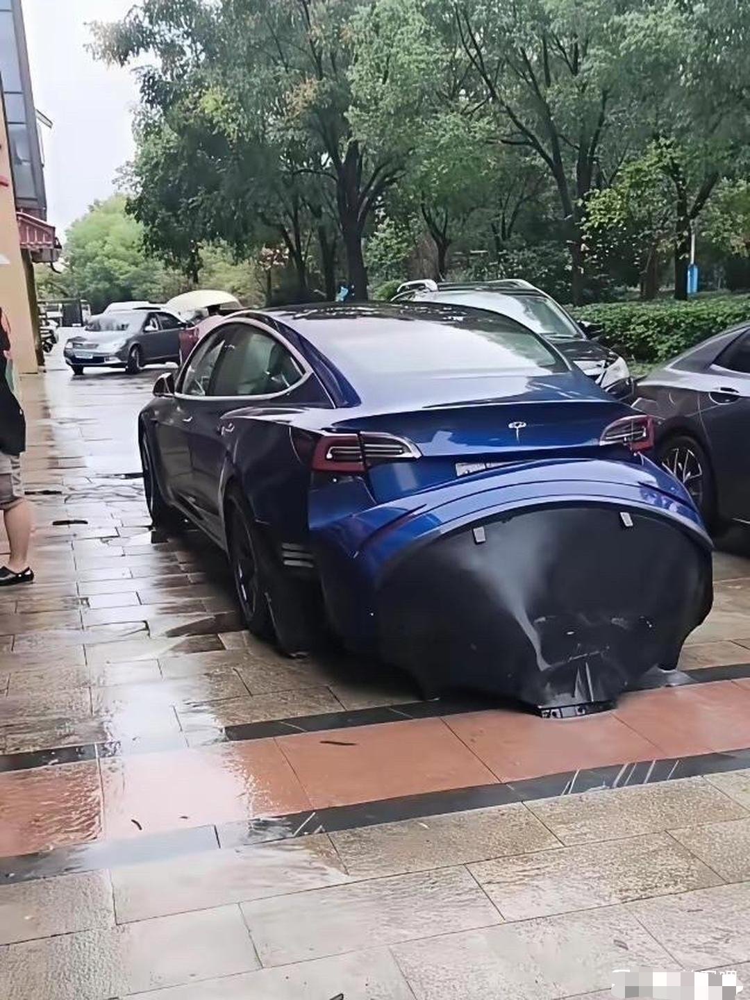 这是怀了个小特斯拉要生了吧