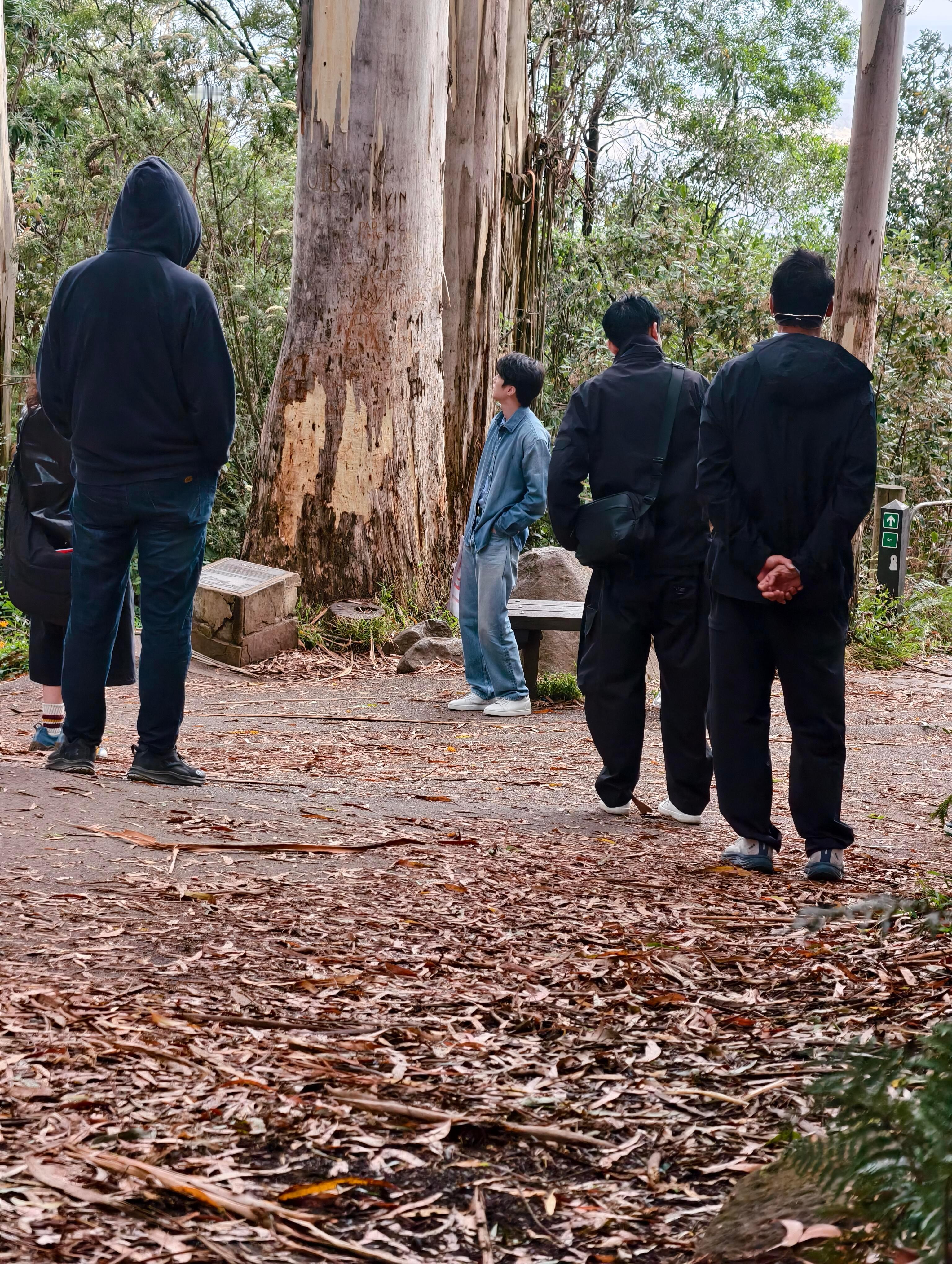 澳大利亚登山偶遇王俊凯网友澳大利亚爬山偶遇王俊凯谁能把我空投到澳大利亚