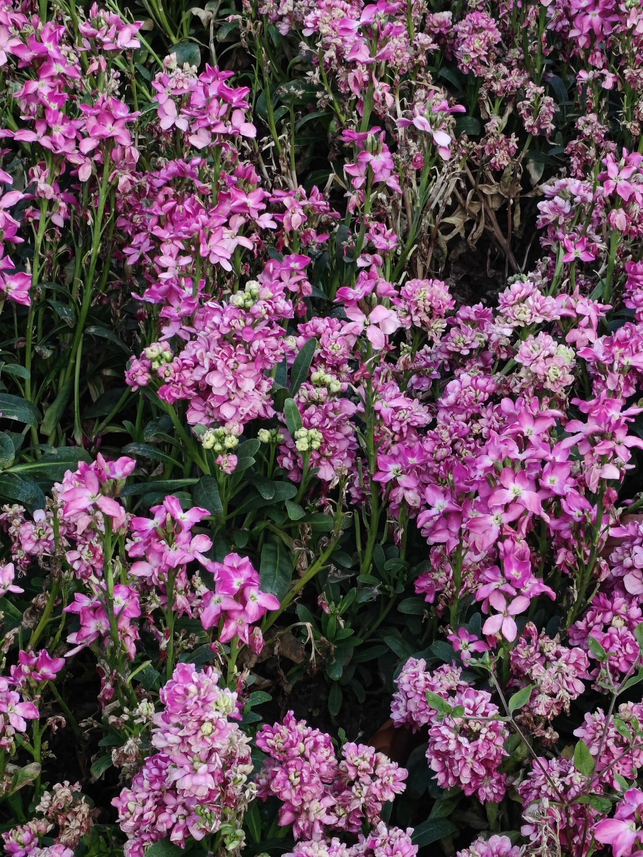 好久没联系的同学，突然联系我！他问我在上班没，我说没上班，没班可上，问我搞什