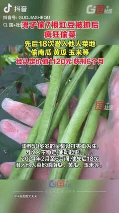 “可怜又可恨！”江苏，50多岁男子常年打零工经济拮据，跑去别人家偷了7根