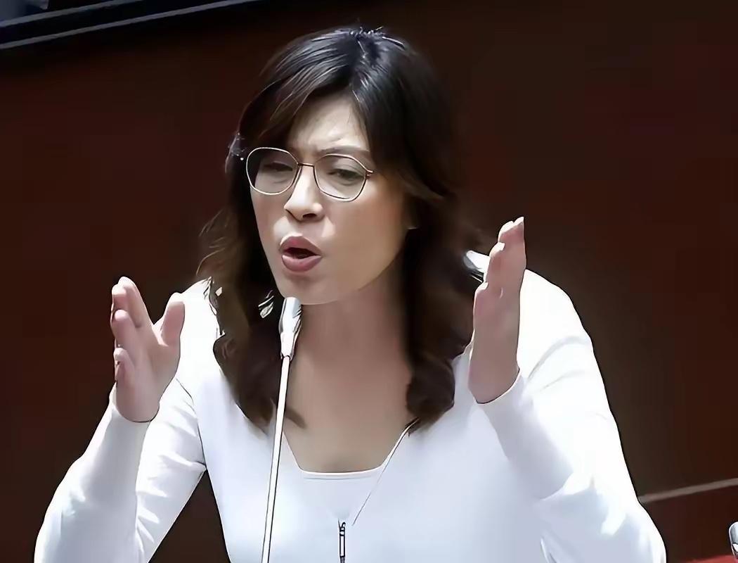 就在刚刚，中国国民党发布严正声明，5月17日，中国国民党正式召开记者会，国民