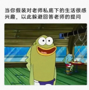 真的很会哦