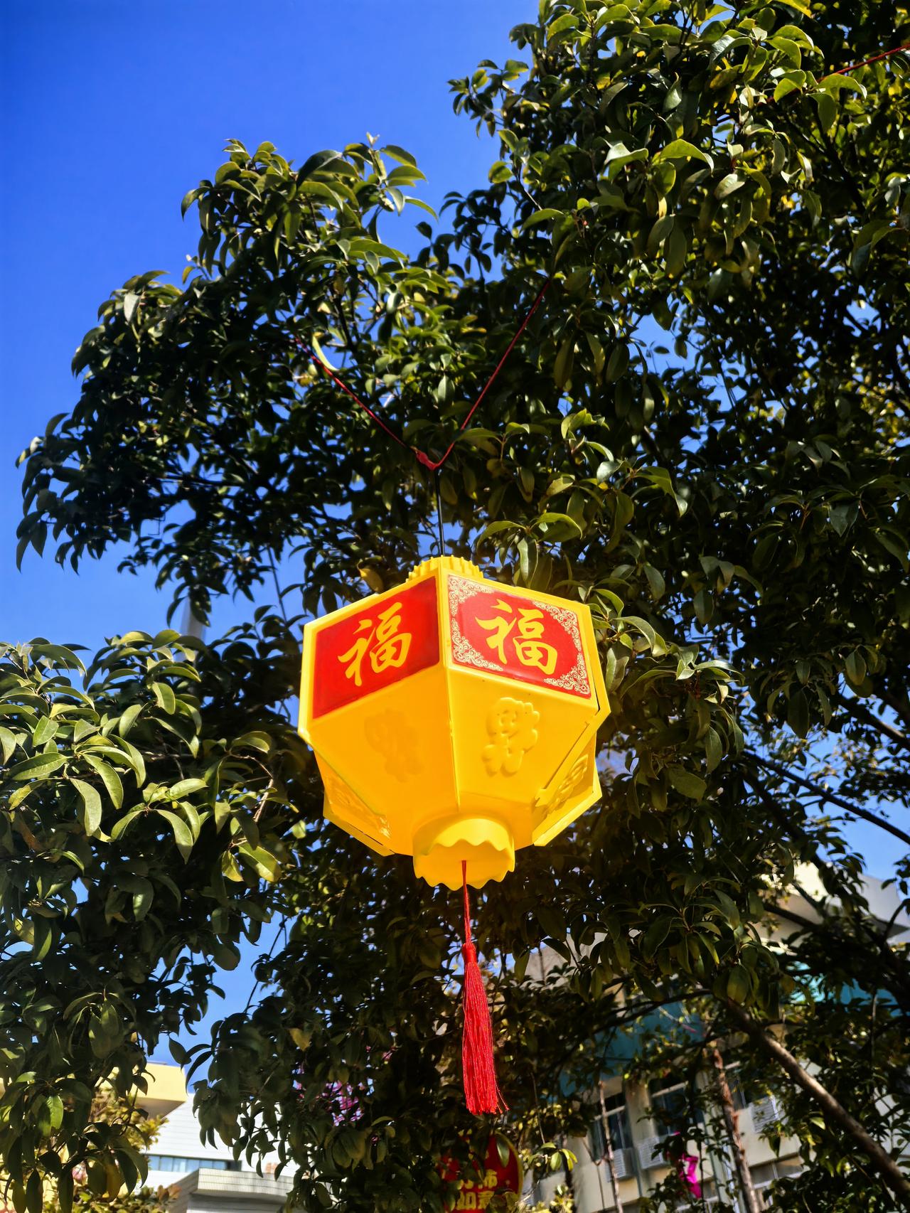 你现在每天能睡够7小时吗睡不够7个小时。晚上睡不着，早上起不来。我不是年轻人，年