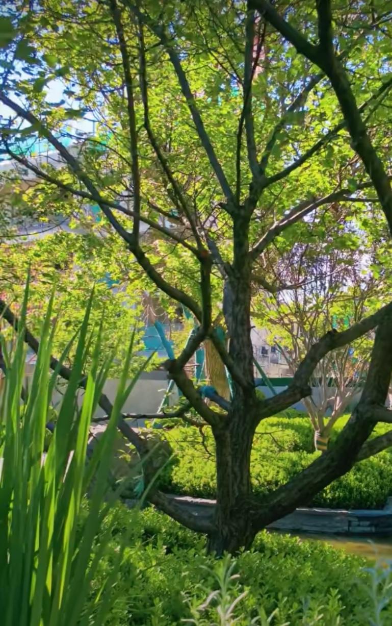 北京房价拐点真的到来了吗？原来这才是真相！经历了小阳春的北京楼市有点火：二手