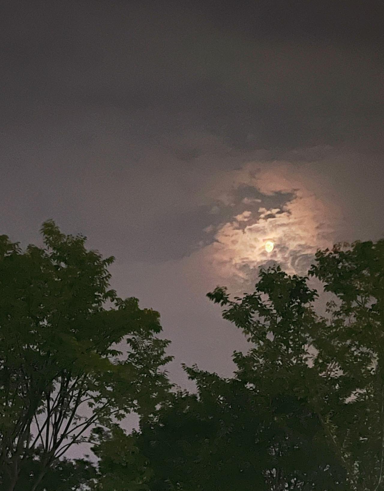 醍醐灌顶的一句话：“以前嫌弃老年人到超市免费领鸡蛋，到路边摊买廉价的衣服和鞋子，