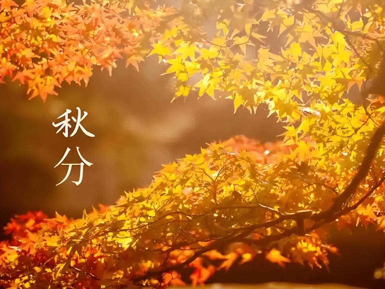 “秋分吃一瓜，中药不用抓”！一补血、二养胃、三护肝、四强免疫大家好，我是陈大夫