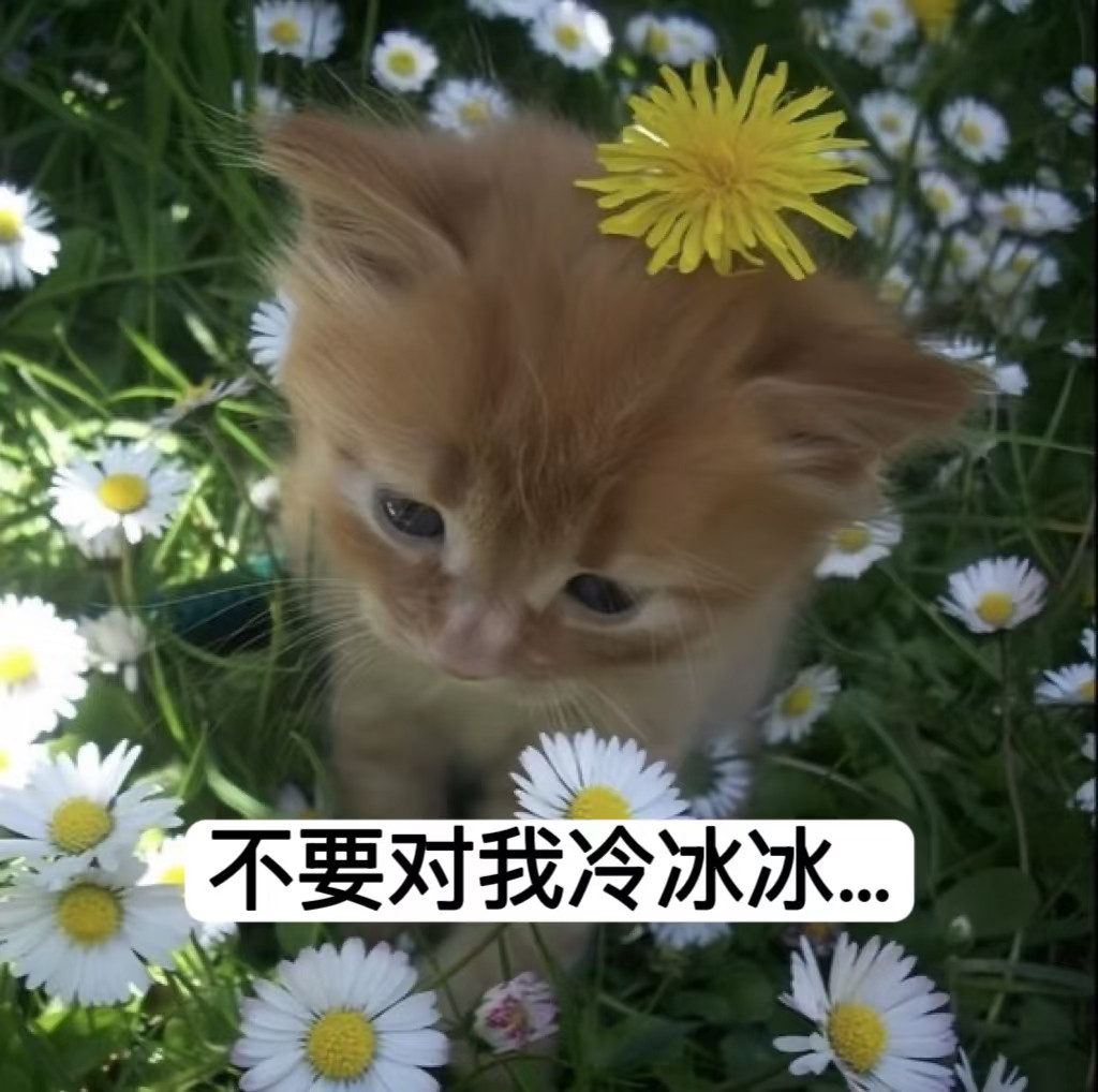 不要放弃跟我养铁啊…女孩们…