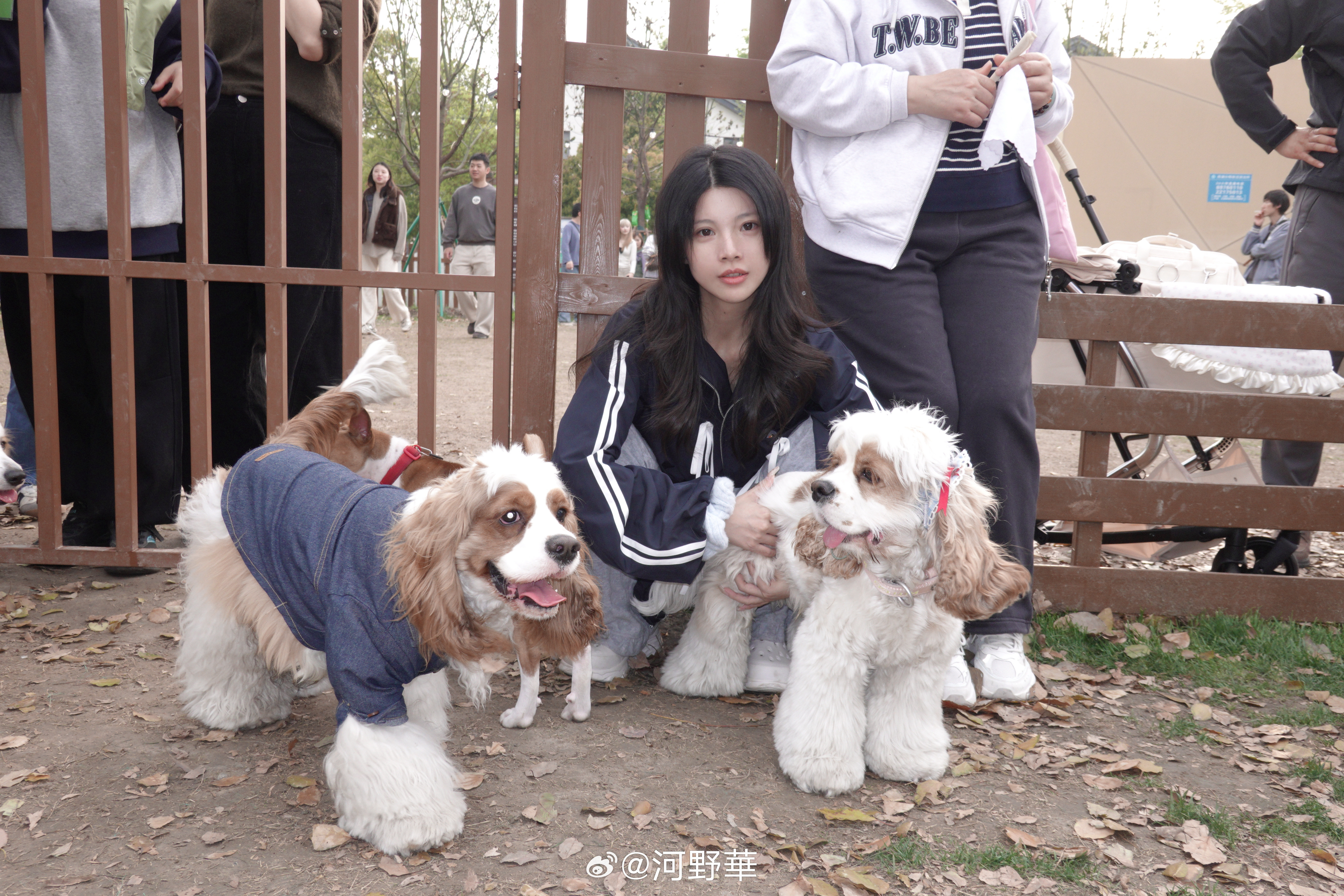 去狗狗公园玩啦，好开心（素颜见谅）河野華