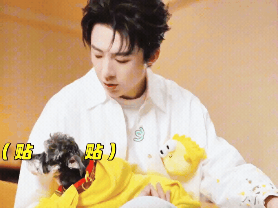 摩登兄弟今日是国际小狗节日祝福全世界最可爱的女明星呆米节日快乐呀，愿呆米永远都