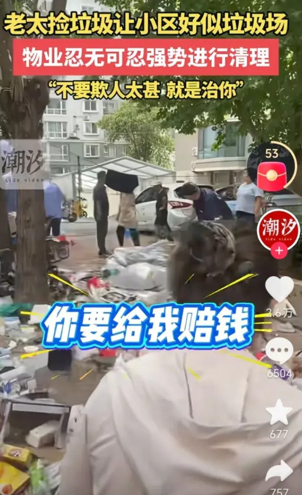 这或许就是交物业费的意义！小区新搬进一个大妈，大妈像是发现新大陆，小区里所有