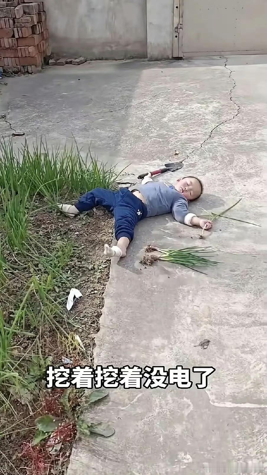 白白胖胖的城里娃回乡下，拿着小铁锹挖葱，葱叶脆得一掰就断，不到二十分钟，直接给干