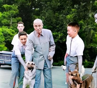 这是蒋中正带着两个孙子、两个侄子在公园里遛宠物狗。蒋中正孙子的颜值显然要比侄子值