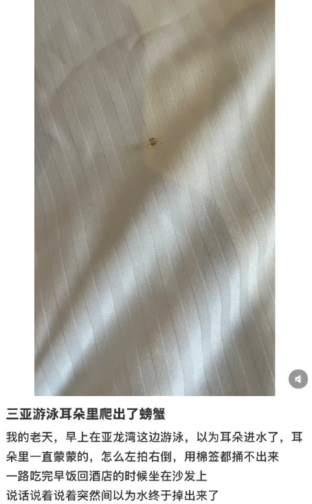 三亚游泳耳朵里爬出了螃蟹来自三亚的厚礼蟹天气热了，海边游玩的人变多，大家都要多